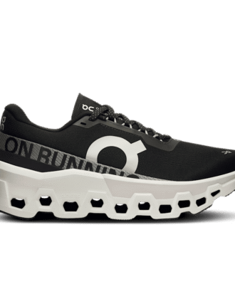 レディース Cloudmonster 2
