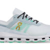 Cloudvista CN “Frost Parakeet”